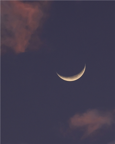 Fal mı Yalan Falcı mı Yasemin