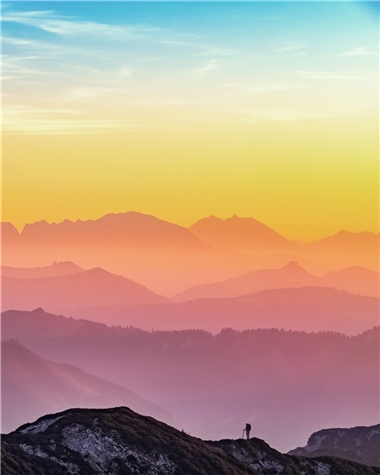 Turnanın Kanat Hafızası