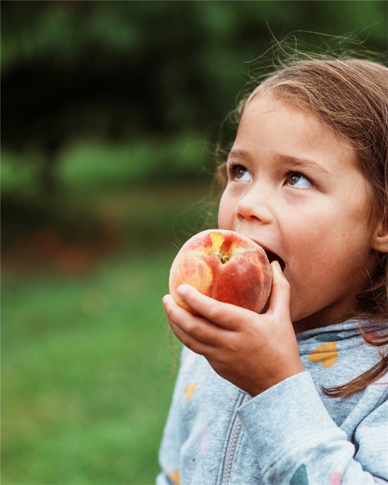 Sonlar ve Başlangıçlar