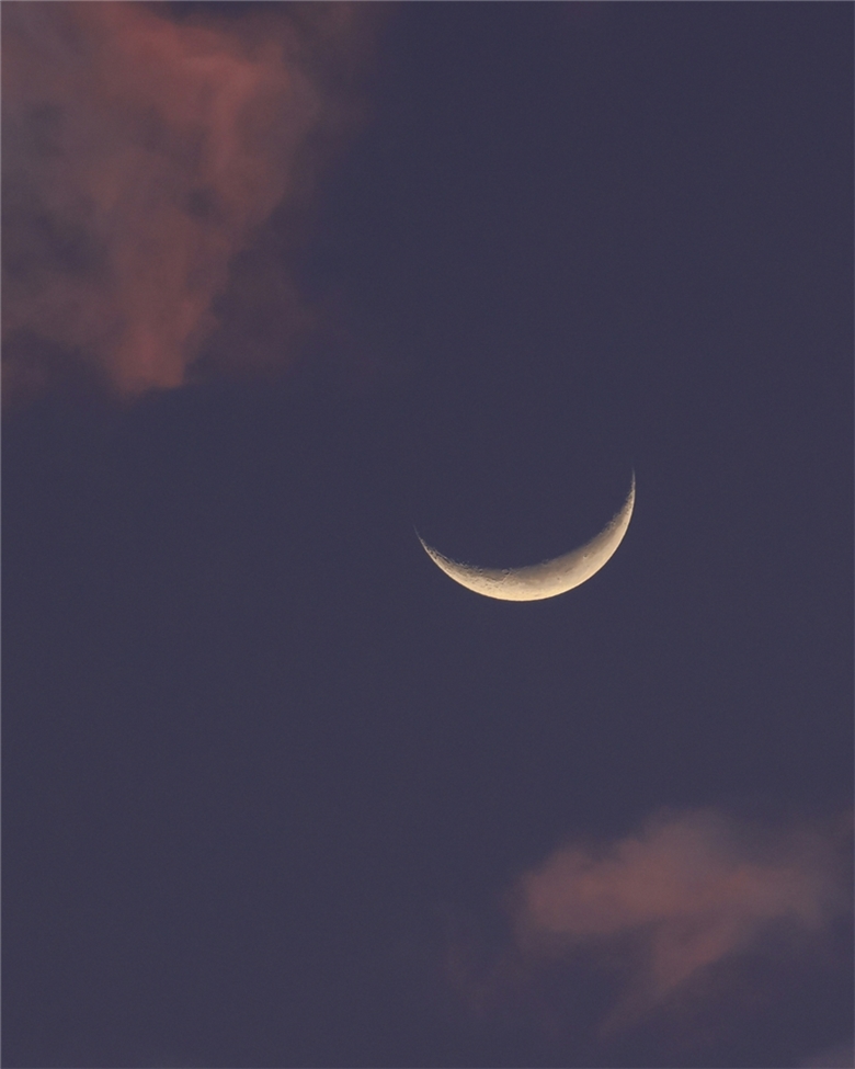 Fal mı Yalan Falcı mı Yasemin