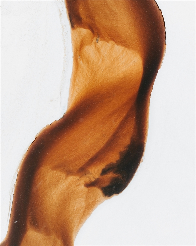 Anlatılır Gibi Değil